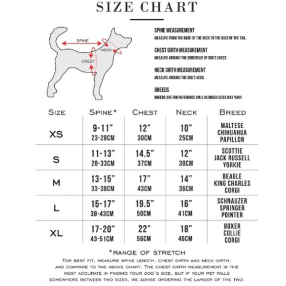 Matching PJ's for you and your pup! - Picture 7 of 7